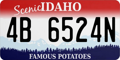 ID license plate 4B6524N