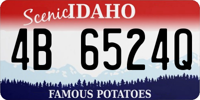 ID license plate 4B6524Q