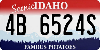 ID license plate 4B6524S