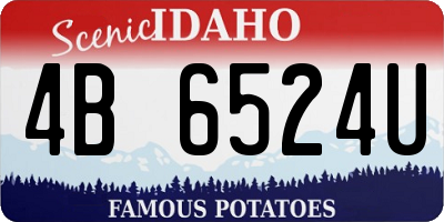 ID license plate 4B6524U