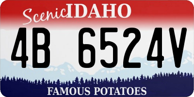 ID license plate 4B6524V