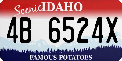ID license plate 4B6524X