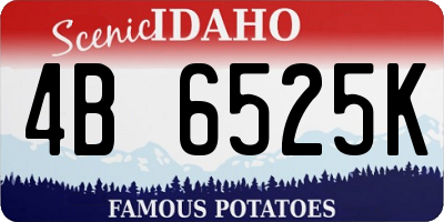 ID license plate 4B6525K