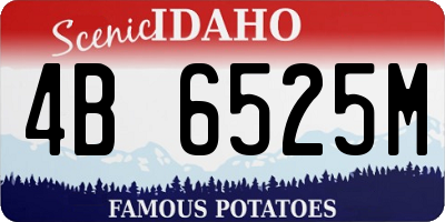ID license plate 4B6525M
