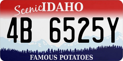 ID license plate 4B6525Y