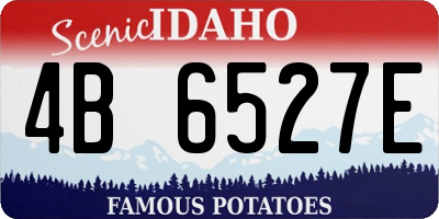 ID license plate 4B6527E