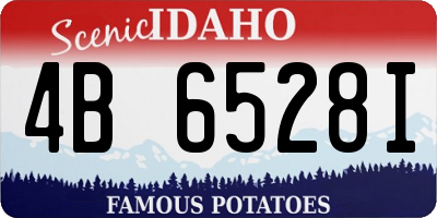 ID license plate 4B6528I