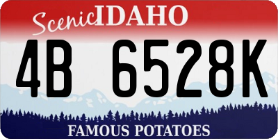 ID license plate 4B6528K