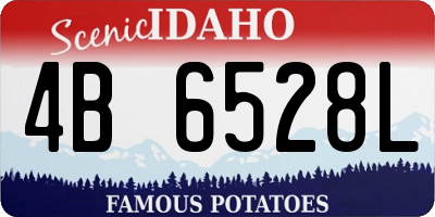 ID license plate 4B6528L