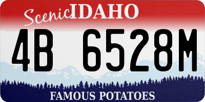 ID license plate 4B6528M