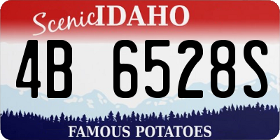 ID license plate 4B6528S