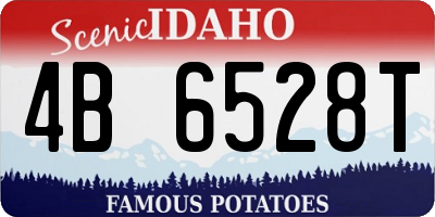 ID license plate 4B6528T