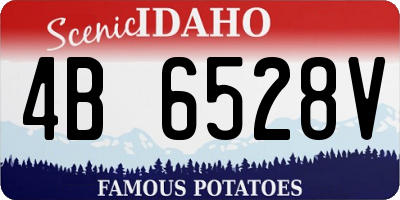 ID license plate 4B6528V