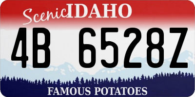 ID license plate 4B6528Z