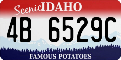 ID license plate 4B6529C