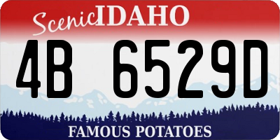 ID license plate 4B6529D