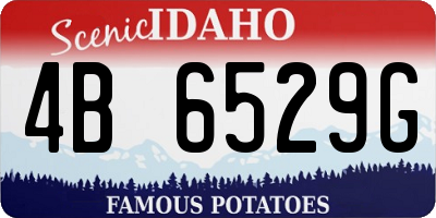 ID license plate 4B6529G