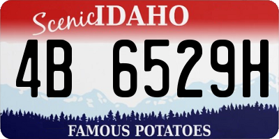 ID license plate 4B6529H