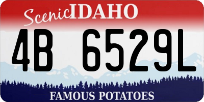 ID license plate 4B6529L
