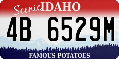 ID license plate 4B6529M