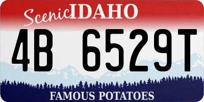 ID license plate 4B6529T