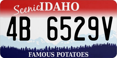 ID license plate 4B6529V