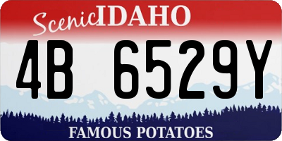 ID license plate 4B6529Y