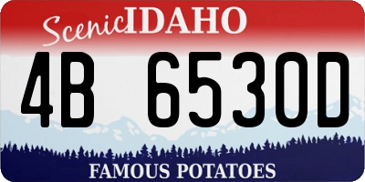 ID license plate 4B6530D