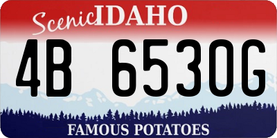 ID license plate 4B6530G
