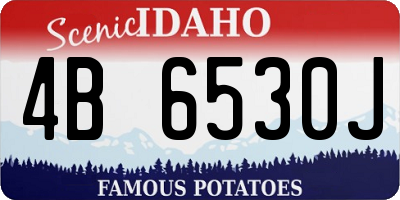 ID license plate 4B6530J