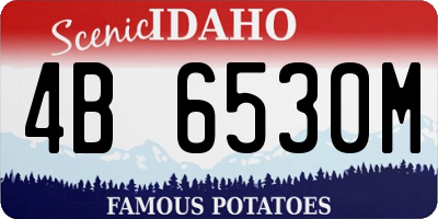 ID license plate 4B6530M