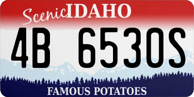 ID license plate 4B6530S