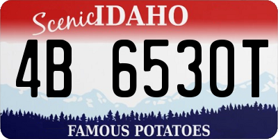 ID license plate 4B6530T