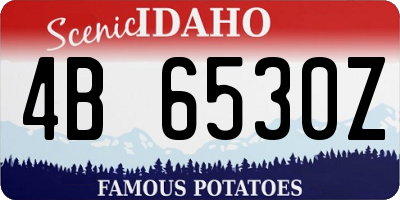 ID license plate 4B6530Z