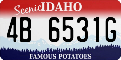 ID license plate 4B6531G