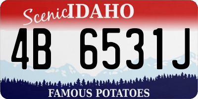 ID license plate 4B6531J