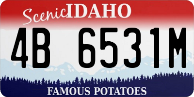 ID license plate 4B6531M