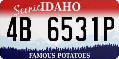 ID license plate 4B6531P