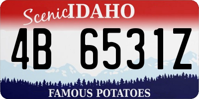 ID license plate 4B6531Z
