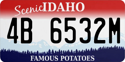 ID license plate 4B6532M