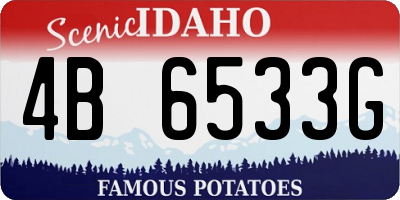 ID license plate 4B6533G
