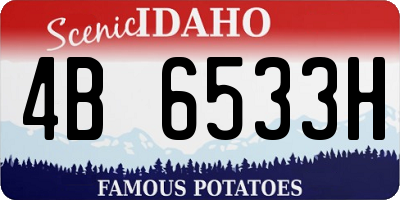 ID license plate 4B6533H
