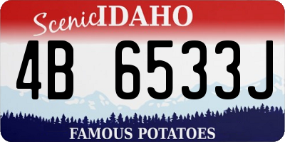 ID license plate 4B6533J