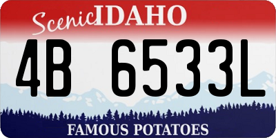 ID license plate 4B6533L