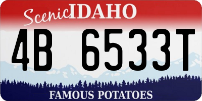 ID license plate 4B6533T