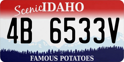 ID license plate 4B6533V