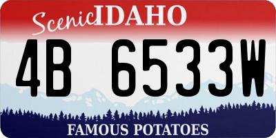 ID license plate 4B6533W