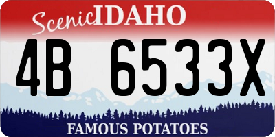 ID license plate 4B6533X