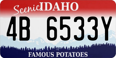 ID license plate 4B6533Y