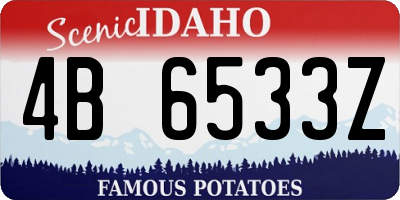 ID license plate 4B6533Z